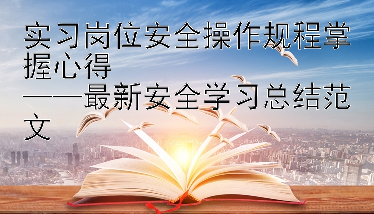 实习岗位安全操作规程掌握心得  ——最新安全学习总结范文