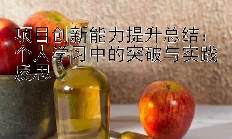 项目创新能力提升总结：个人学习中的突破与实践反思