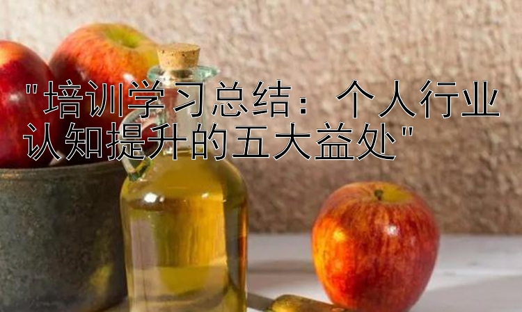 培训学习总结：个人行业认知提升的五大益处