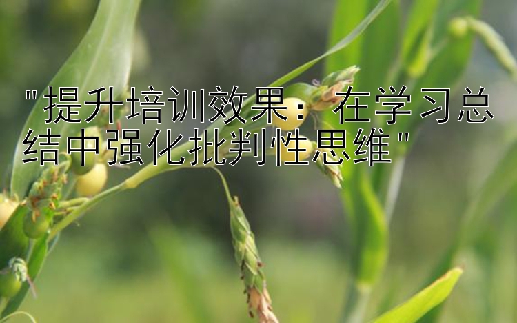 提升培训效果：在学习总结中强化批判性思维