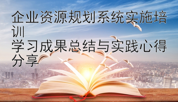 企业资源规划系统实施培训  学习成果总结与实践心得分享